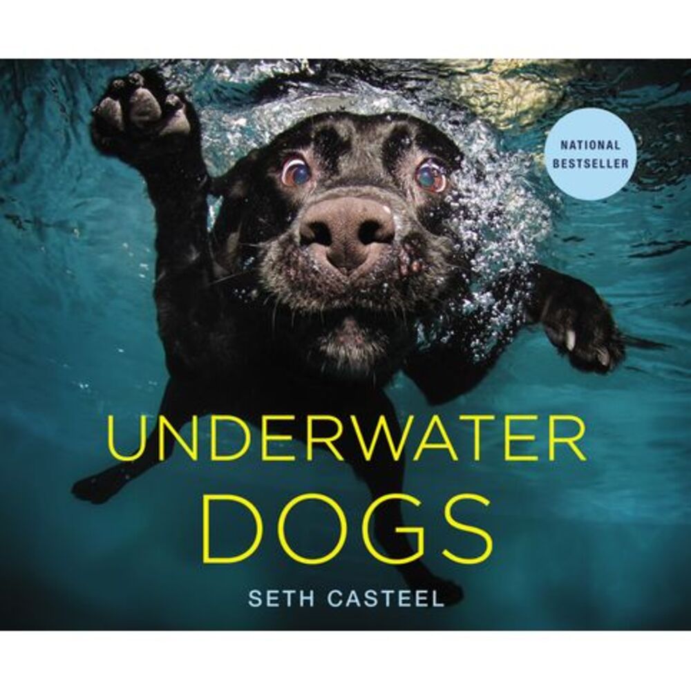 Underwater Dogs -- Seth Casteel